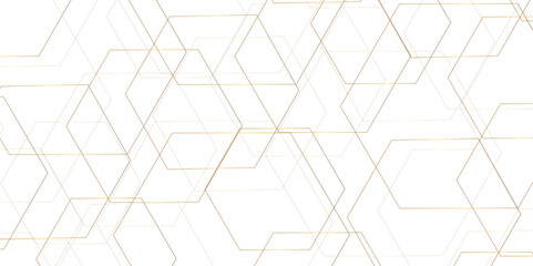 Abstract minimal geometric white and gold light background design. Vector illustration of hexagons pattern. luxury white pattern geometric mesh cell texture.  Modern pattern elegant gold line template