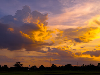 Wall Mural - sunlight with dramatic sky on dark background.vivid sky on dark cloud.rice field evening.golden hour
