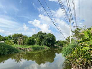 Sticker - a beautiful landscape of the river in the park