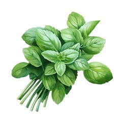 Wall Mural - Freshly Rendered Mint Sprig on Bright White Background