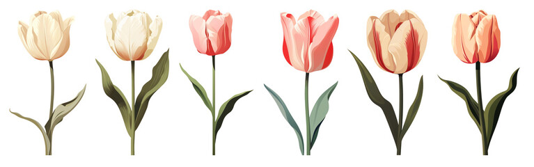 Poster - Flower png element set on transparent background