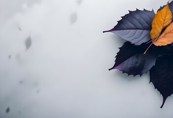 Dark purple leaves floating on a misty background