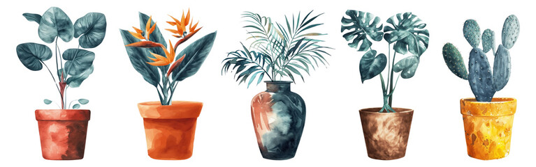 Sticker - Watercolor tropical potted houseplant set