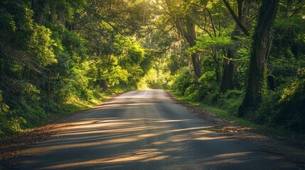 Wall Mural - Tranquil spring drive, sunlit roads winding through lush greenery, beauty along scenic route