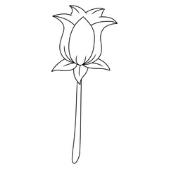 Sticker - illustration of a rose flower