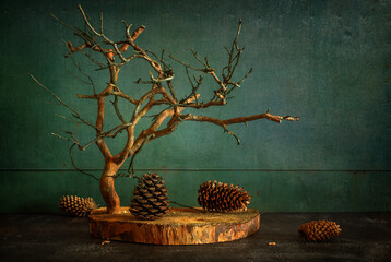 Wall Mural - Composition with a dry pine branch and pine cones.