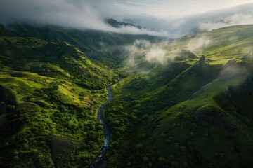 Wall Mural - Scenic aerial view of lush green valley with winding river and cloudy sky, embracing nature's beauty in a breathtaking landscape.