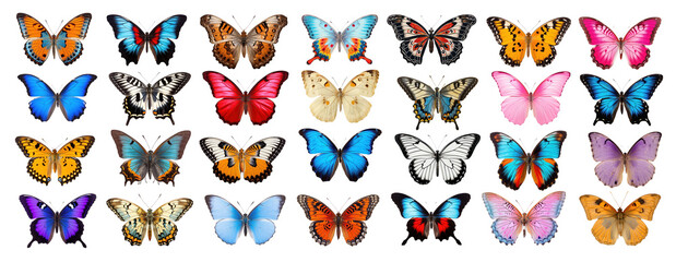 Sticker - Colorful butterfly collection display png set