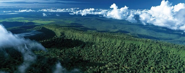 Wall Mural - A breathtaking aerial view of a lush, green forest extending to the horizon under a vibrant blue sky with fluffy white clouds.