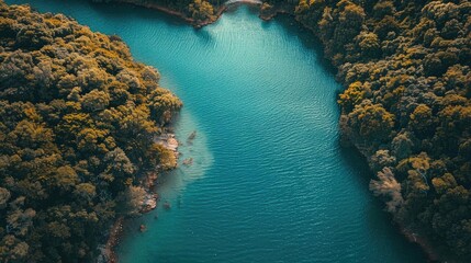 Poster - Aerial view of a serene river winding through a lush, green forest, showcasing the beauty of nature in vibrant colors.