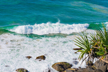 Sticker - Pandanus tree in sea and sky outlook