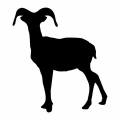 Wall Mural - silhouette or illustration of a goat or sheep