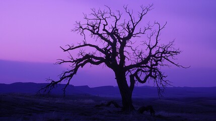 Sticker - Leafless tree at dusk with purple sky