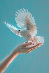 Wall Mural - A person holds a white dove in their hand, symbolizing peace and hope