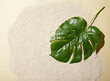 © 은미 홍 - A big fresh leaf against a sea sand background. top view. An empty space for display cosmetic products, food and props.