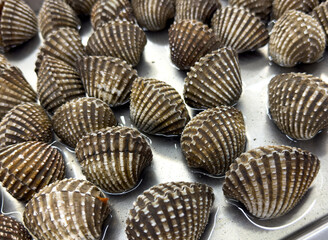 Poster - Seashells on a market counter