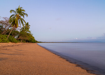 Wall Mural - Palm trees and other tropical vegetation on a tropical beach in this long exposure photo showing a leading diagonal line and a blue sky background in Cardwell in tropical Queensland, Australia.