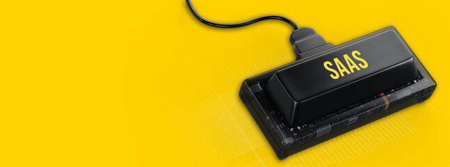 Software as a Service SaaS. Software concept. Business, modern technology, internet and networking concept. 3d illustration