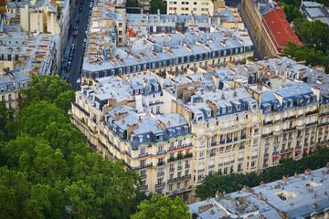 Wall Mural - Aerial view of the city roofs in Paris, France.