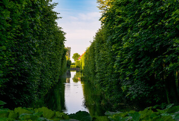 Wall Mural - Pond in an old green park	