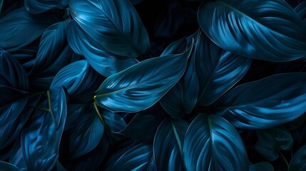 Wall Mural - closeup detail macro texture bright blue green leave tropical forest plant spathiphyllum cannifolium
