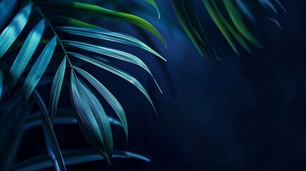 Wall Mural - Light and shadow on palm leaf dark blue nature background : Generative AI