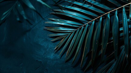 light and shadow on palm leaf dark blue nature background : generative ai