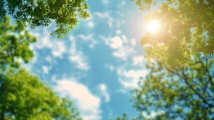 Poster - Beautiful blurred background image of spring nature with surrounded by trees against a blue sky with clouds on a bright sunny day : Generative AI