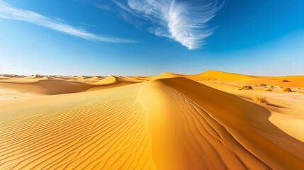 Desert dunes stretching into the horizon golden sands