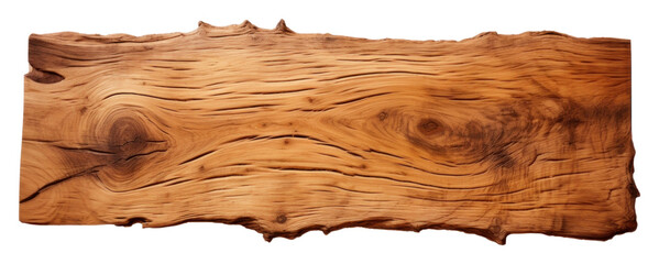 Wall Mural - PNG Wood png hardwood tree white background.