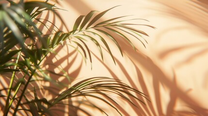 Wall Mural - Tropical Palm Leaf Shadows on Warm Orange Wall Background