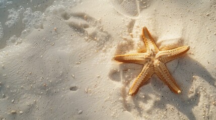 Wall Mural - Starfish resting peacefully on the pristine white sand.