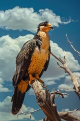 Poster - A large bird perched on a tree branch, possibly resting or observing its surroundings