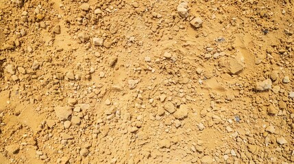 Wall Mural - Close-up of coarse sand, bright daylight, larger grains with a rough texture.