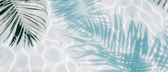 Wall Mural - Elegant minimalist background concept featuring close-up water surface with gentle ripples and subtle blurred palm leaf shadows on the beach, evoking a peaceful, natural and pure atmosphere.