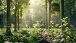 © Sundas - A peaceful forest scene where new trees are being planted, their young trunks supported by stakes and guards to help them thrive in their natural habitat.