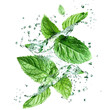 © Yeti Studio - Fresh green mint leaves splashing with water, cut out