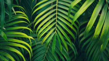 Sticker - Close-up of overlapping tropical palm leaves creating a natural pattern