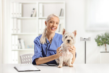 Sticker - Female veterinarian in a uniform sitting with a westie terrier dog