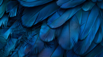 Wall Mural - blue feather background, bird close up