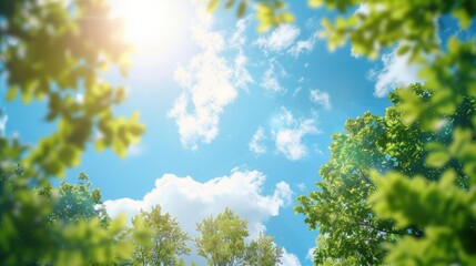Walnut leaves in front of blue sky with white clouds and sun rays.  Blue sky background with clouds, sunlight with a tree and green leaves,  blur image 



