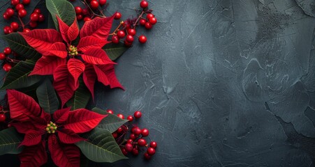 Wall Mural - Red Poinsettia Flower and Berries on a Dark Background