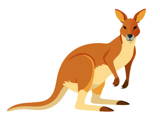 Wall Mural - Kangaroo vector illustration, cute animal vector illustration, Kangaroo illustration vector, cute Kangaroo cartoon illustration