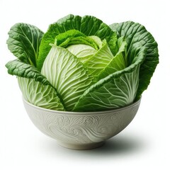 Fresh Chinese Cabbage isolated on a white background