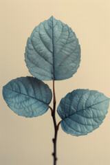 Aufkleber - Minimalist image of a single cyan leaf against a light beige backdrop,