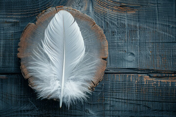 Aufkleber - Elegant shot of a string art feather, with delicate white and grey threads on a dark wooden board,