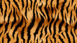 © Muhammad - texture of real tiger skin ( fur )