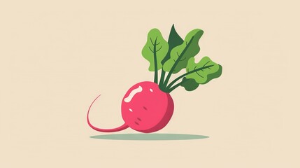 Poster -   A red radish with green leaves on a light beige background, with a shadow from above to below