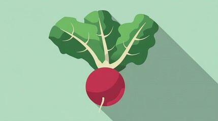 Wall Mural -   A radish on a green background with a long shadow on the right