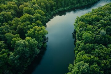 Wall Mural - river in the forest aerial view Generative AI